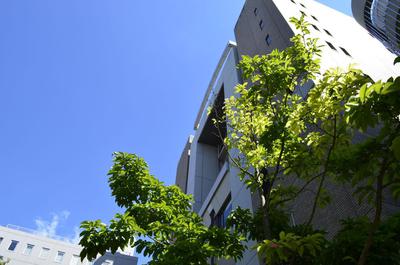 20170719.jpg